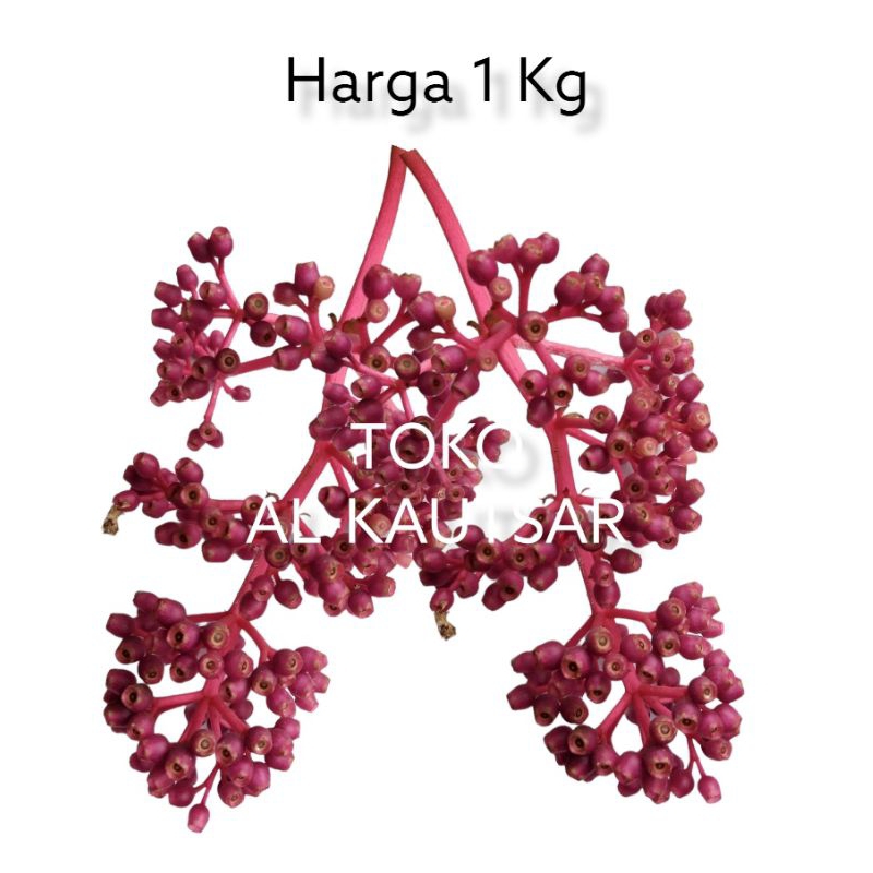 

parijoto promil 1 kg