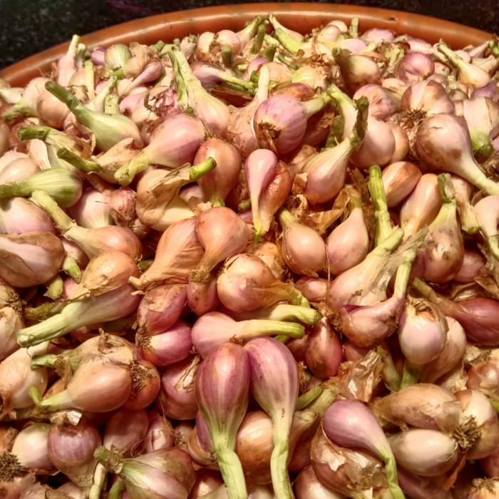 

Bawang Sumenep Mentah Super 1kg