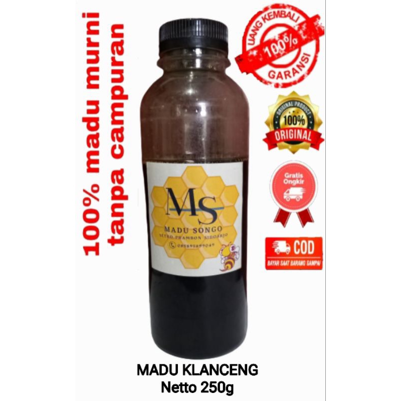 

MADU KLANCENG MADU LANCENG MADU ASLI MADU HUTAN