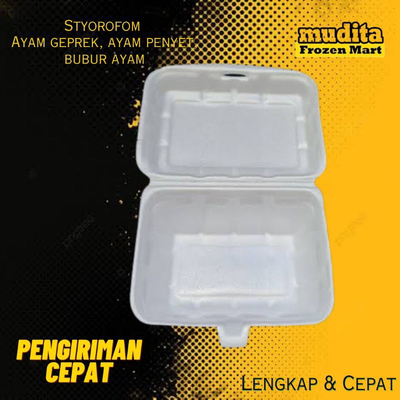 STYROFOAM kecil kotak makan box nasi bubur ayam geprek foam gabus per pcs