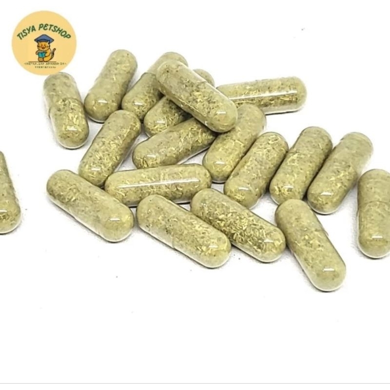 Vitamin Induk Kucing Hamil Dan Menyusui For Asi Cat