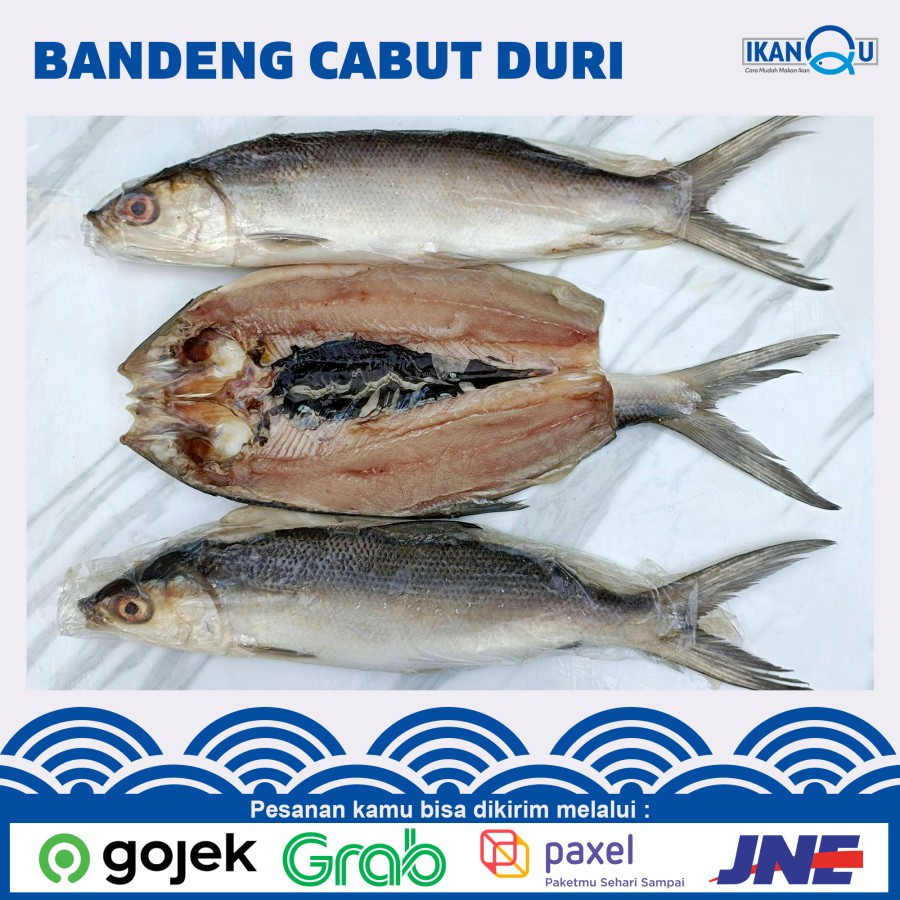 

Ikan bandeng cabut duri 1Kg (Bersih tulang dan duri) Bandeng Frozen