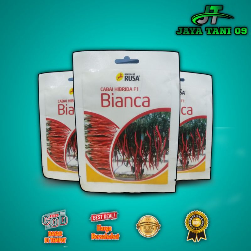 Benih Cabai Keriting F1 BIANCA +-2000Biji - CAP RUSA