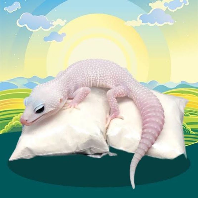 Calcium kalsium Reptil Leopard Gecko repack