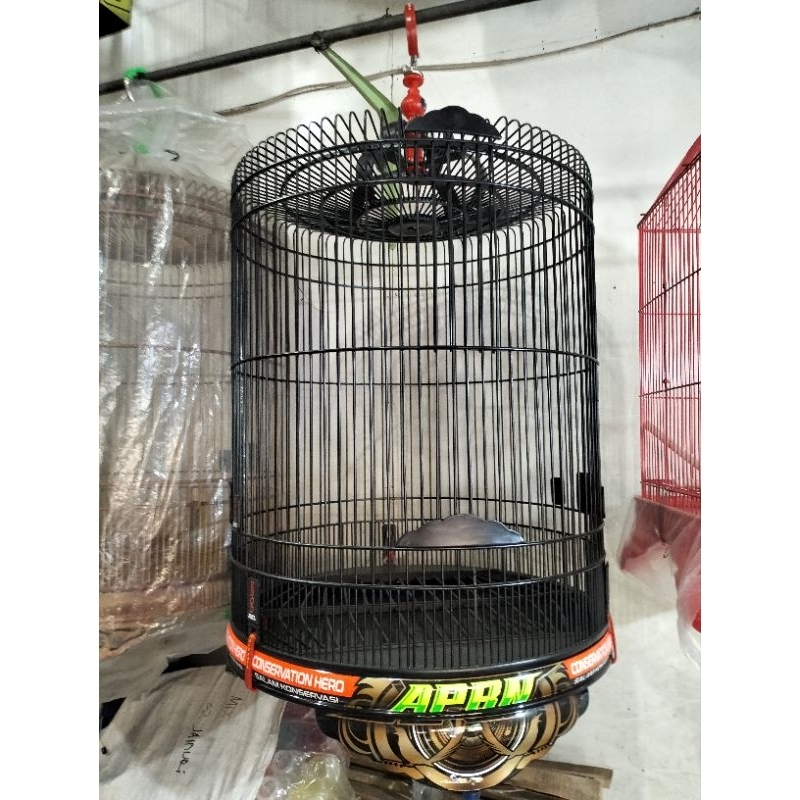 SANGKAR KANDANG MURAI EBOD JAYA PVC DECAL NO.2