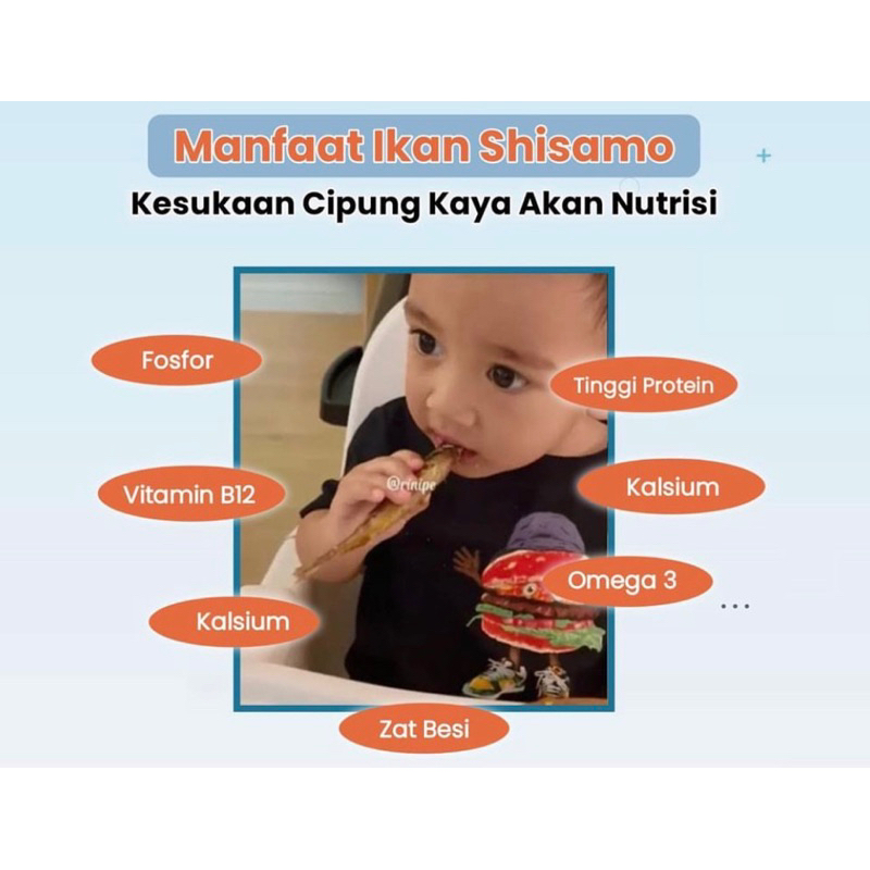 

Korzaln Ikan Cipung Shisamo Capelin Full Telur Premium