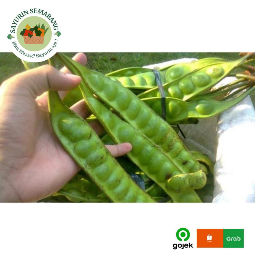 

sayur pete