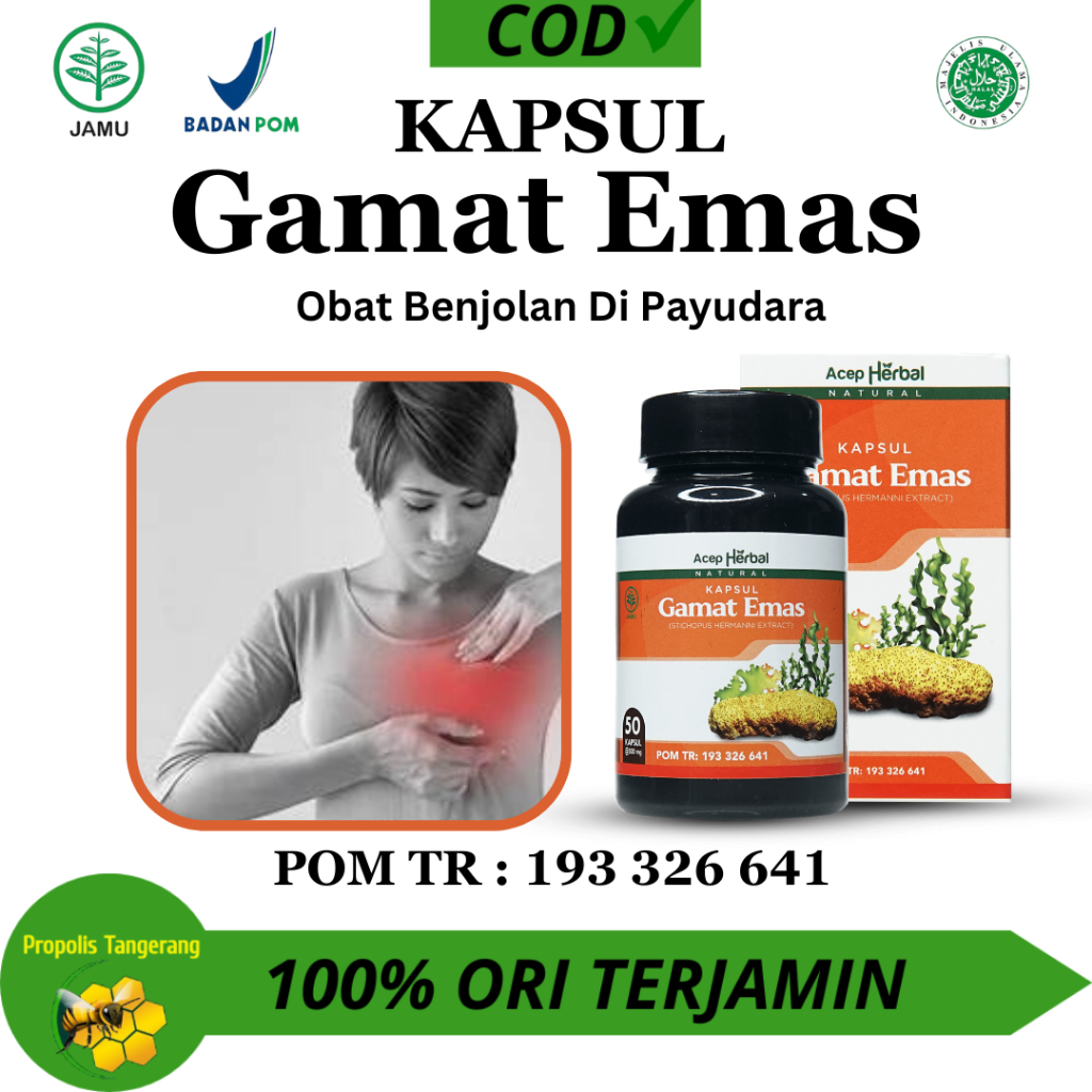 Kapsul Gamat Emas - Obat Benjolan Dipayudara,Benjolan Dileher,Benjolan Di Seluruh tubuh