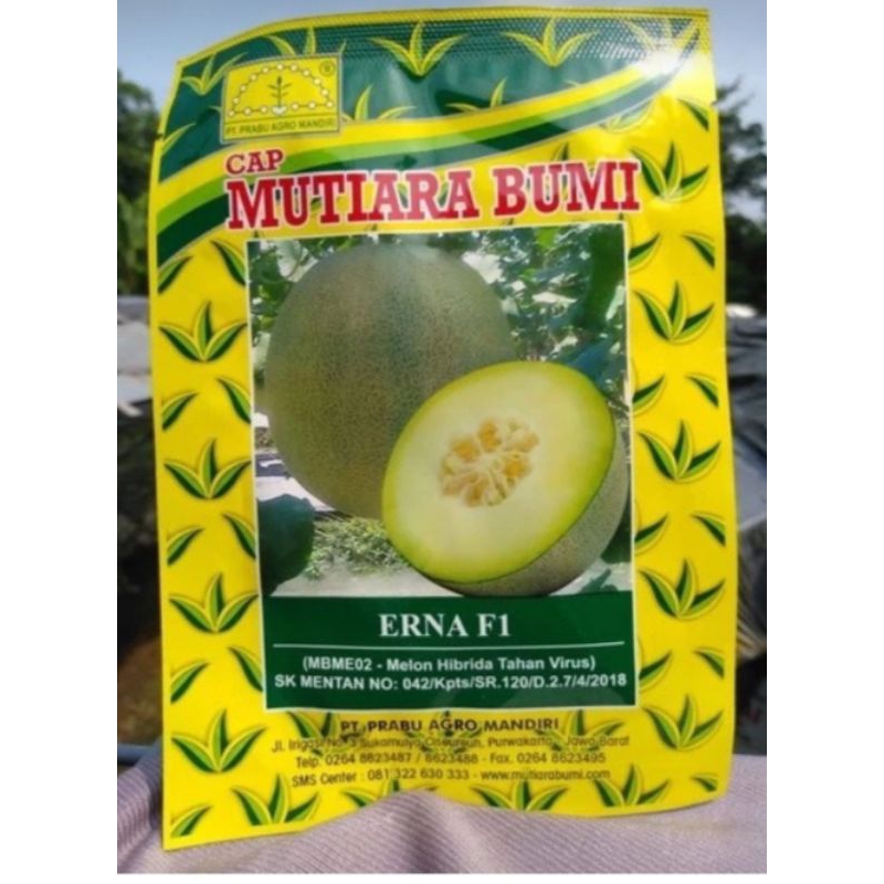 Benih Melon ERNA F1 Hibrida tahan virus Cap Mutiara Bumi isi 15 gram