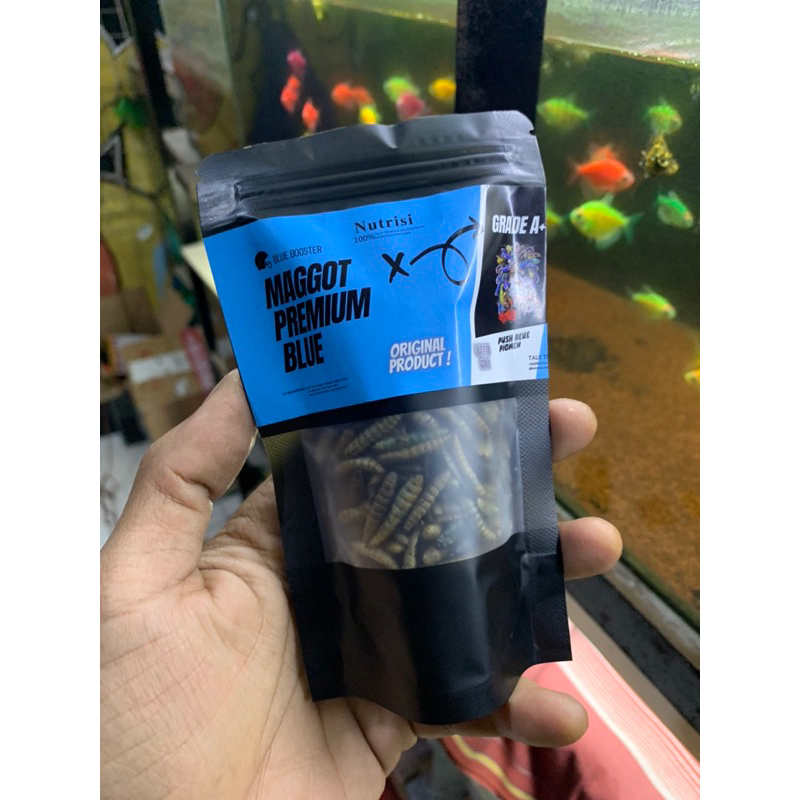 Maggot Kering BSF Super Premium Blue Pro Extra Yellow Red Grade A+ Pakan Ikan Channa Oscar Pebas Ika