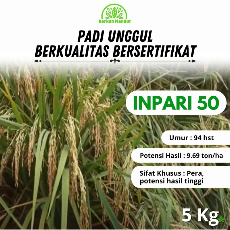 Benih Padi Inpari 50 Marem 5kg Benih Padi Unggul Bibit Padi unggul