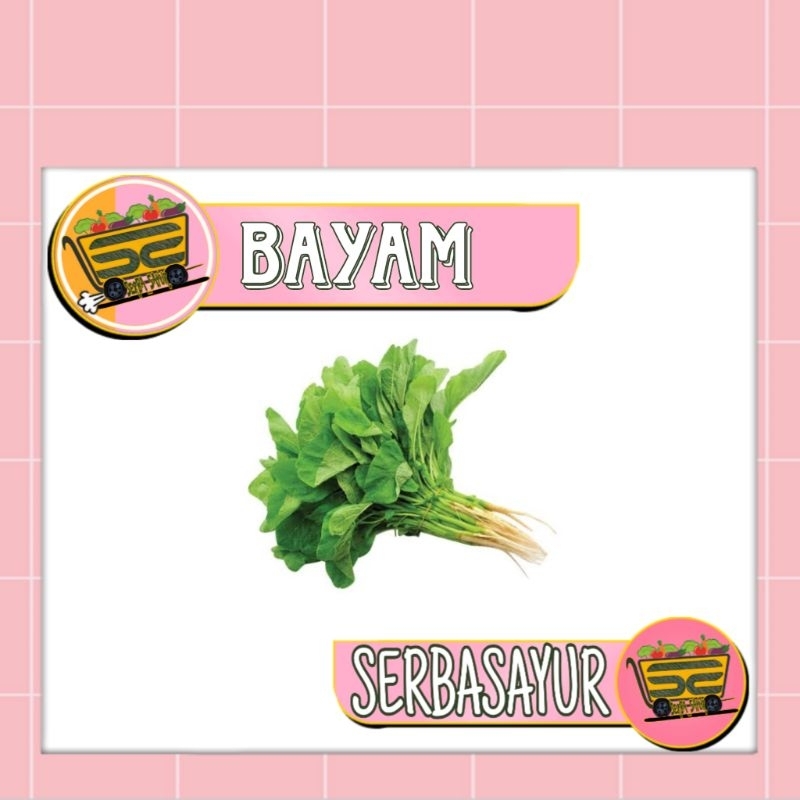 

BAYAM - KEMASAN PACK - SERBASAYUR