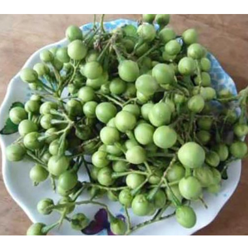 

Buah Cepokak Segar per 500 gram