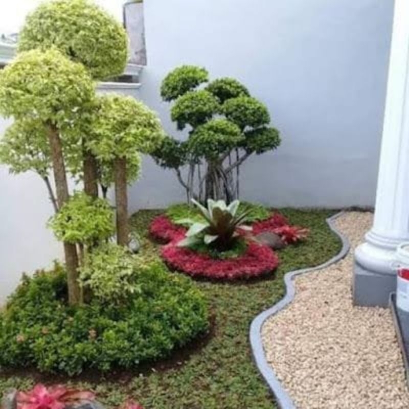 Jasa taman /tukang taman minimalis
