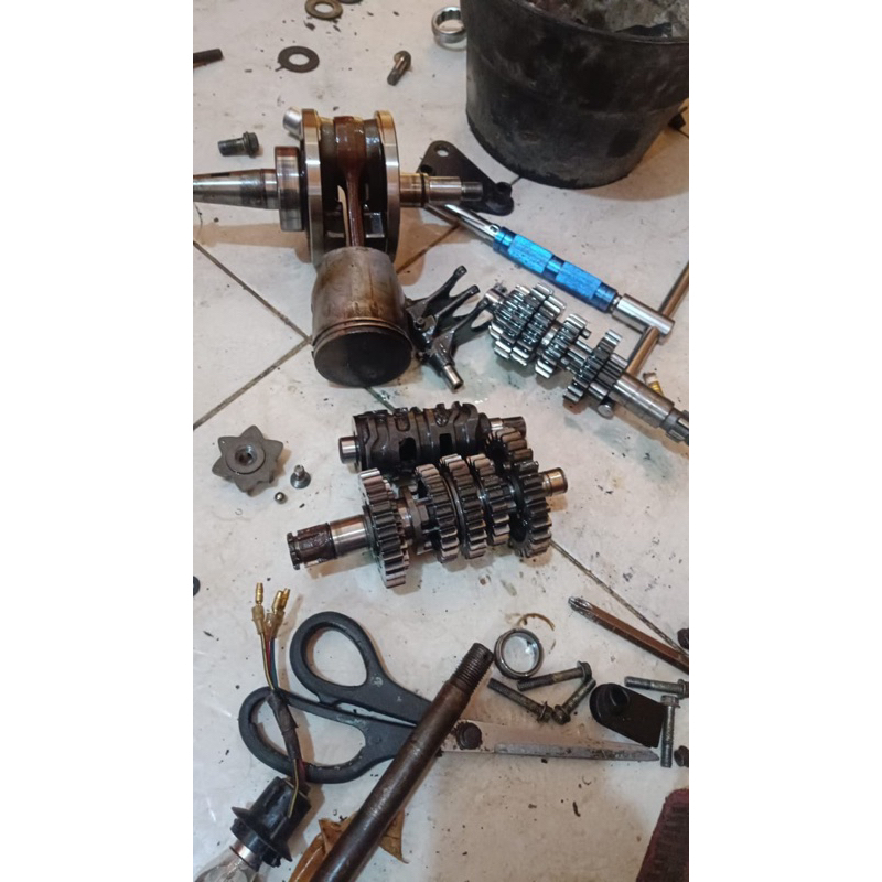 Gigi Rasio Ratio Ninja r rr ss original set