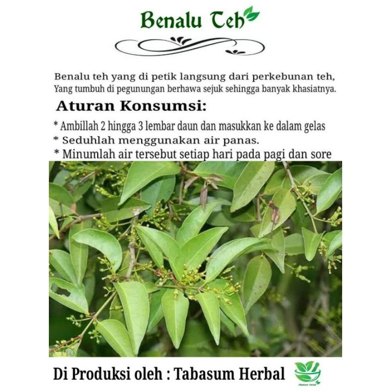 

Teh herbal Tradisonal Benalu Teh 1 Pouch /Teh Herbal 1Pouch/Tanaman Obat Benalu Teh/Benalu Teh 1 Pouch