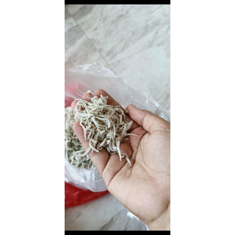 

Teri Nasi Super