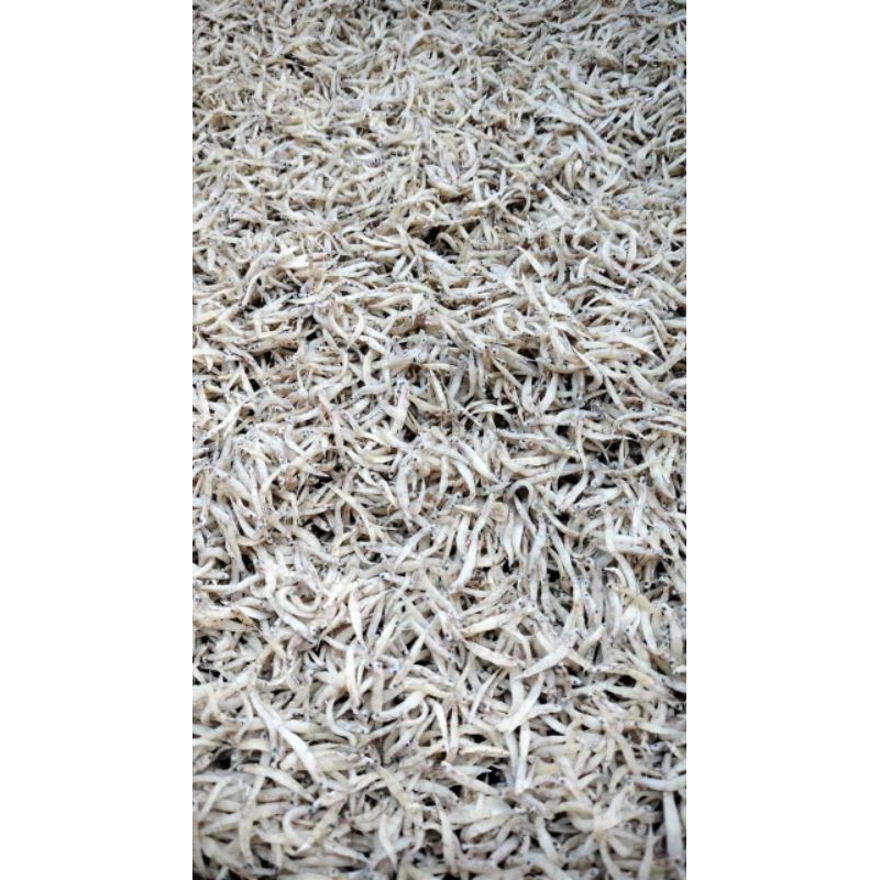 

ikan seribu a/ ikan penja
