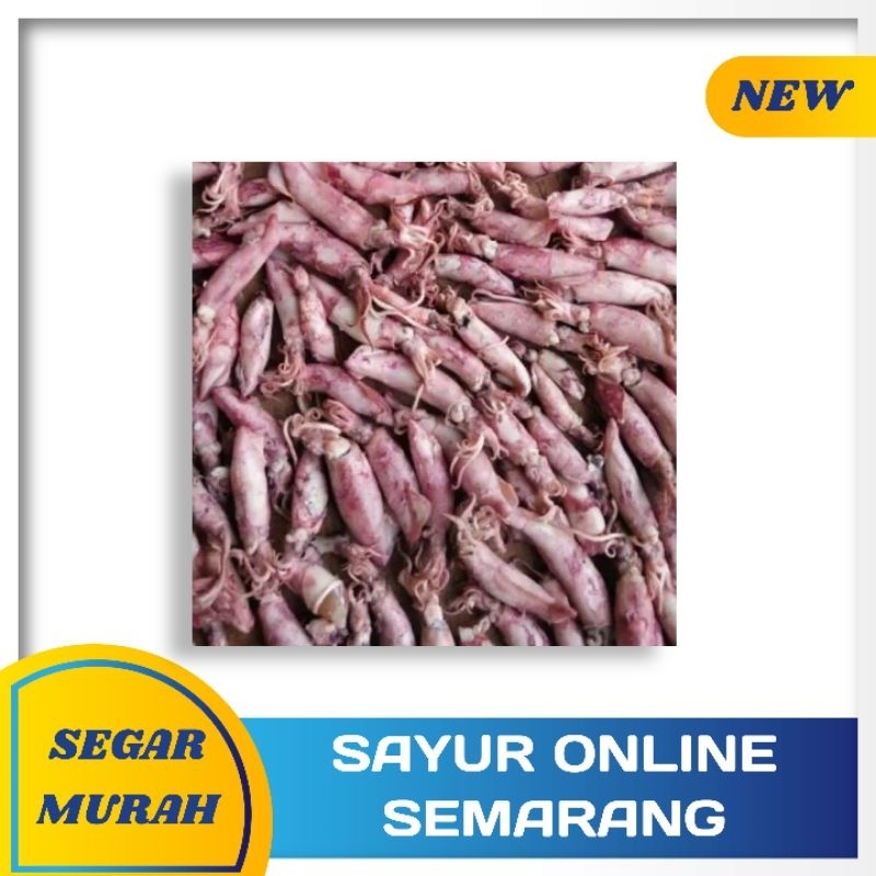 

Ikan Asin Cumi Asin 100gram SEGAR