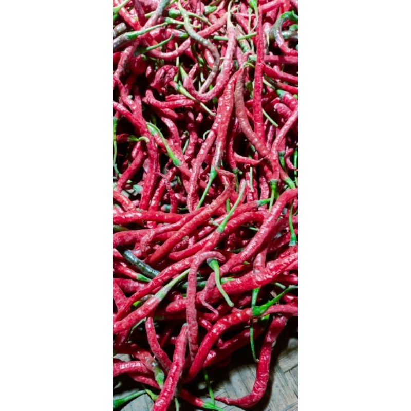 

cabe merah keriting 1kg