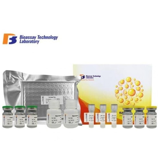 cAMP(Cyclic adenosine monophosphate) ELISA Kit