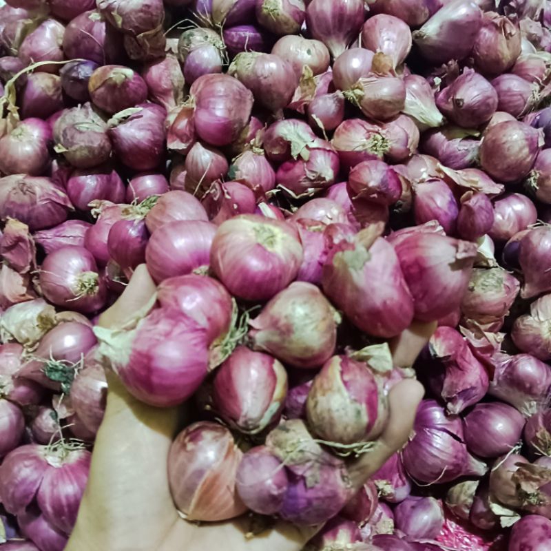 

Bawang Merah Lokal Berkualitas 1Kg