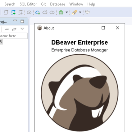 DBeaver Ultimate 23.2