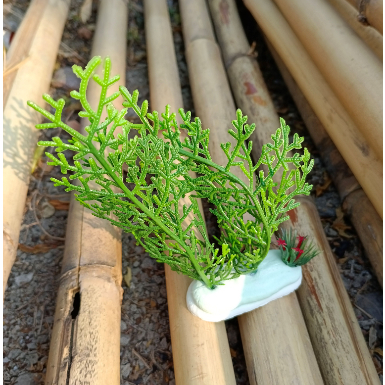 Karang kriting aquarium, dekorasi aquarium karang kriting, hiasan aquarium karang kriting, ornamen a