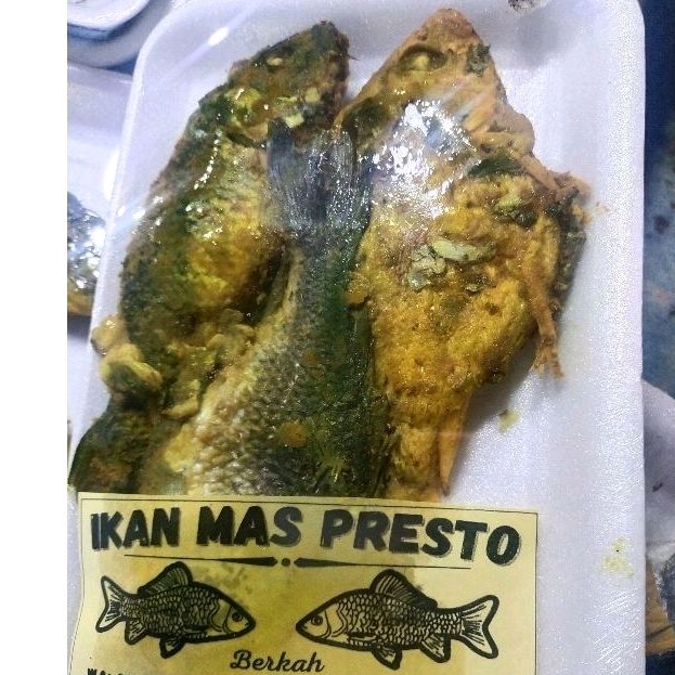 

Ikan mas presto isi 2-3