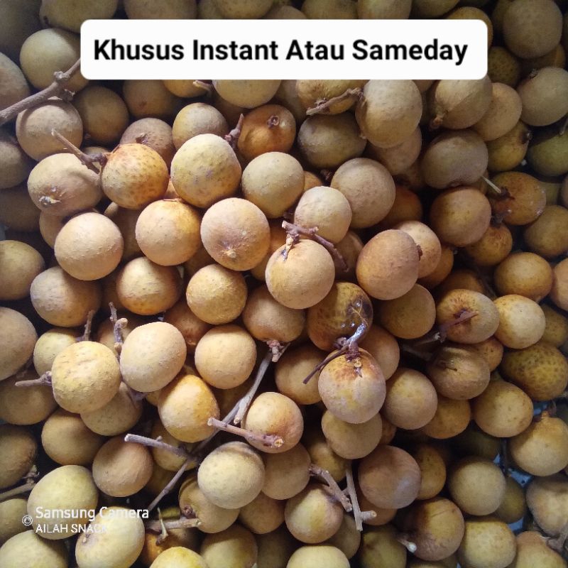 

KELENGKENG SEGAR 1KG