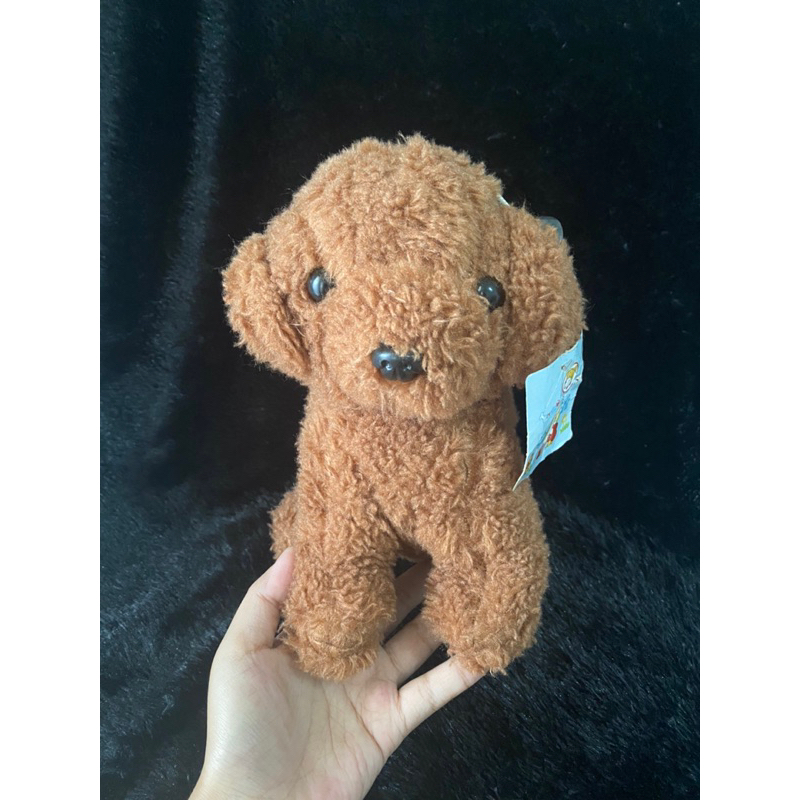 Boneka Karakter Red Poodle Size 25x25cm / Boneka Anjing Red Poodle / Boneka Poodle Dog / Boneka Anji