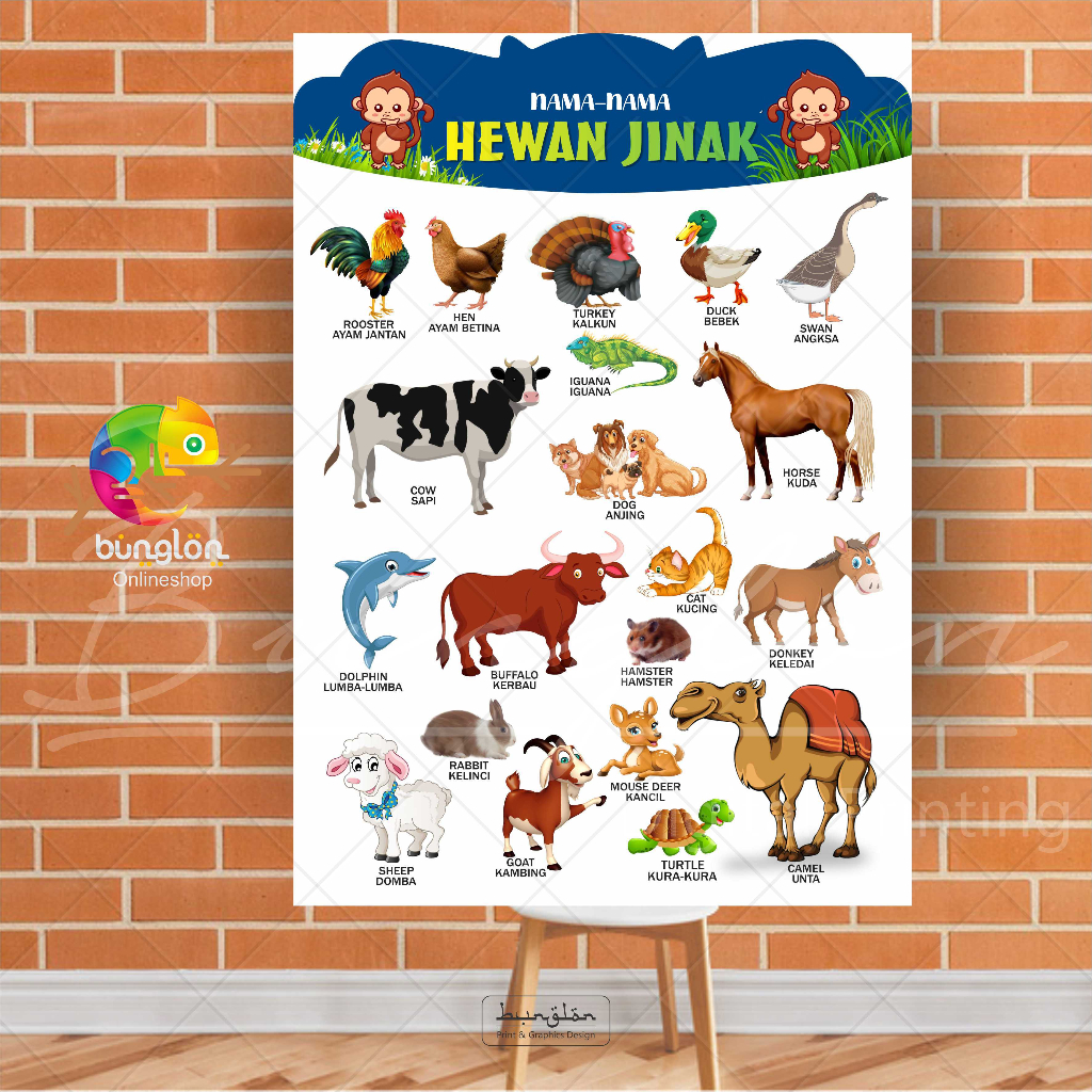 Poster Edukasi Nama-nama Hewan Jinak, Poster Peraga Pendidikan