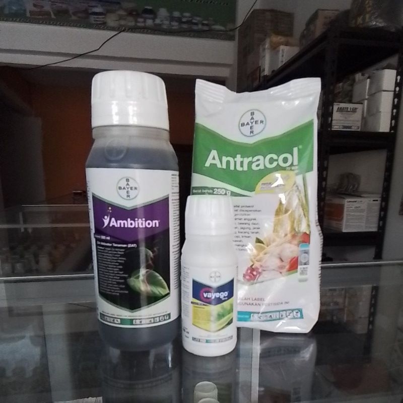 Paket Padi Joss anti sundep dan anakan super dari Bayer Vayego 100ml, Antracol 250ml, Ambition 500ml