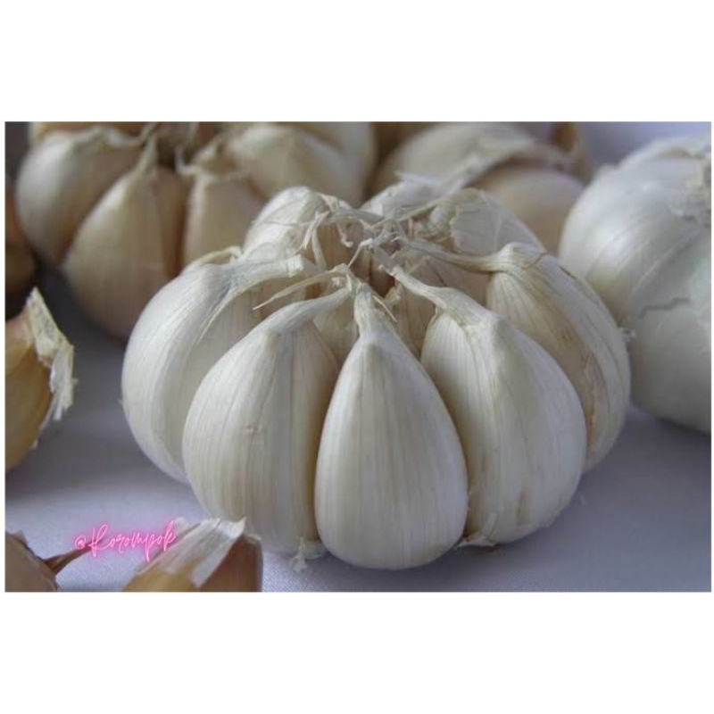 

Bawang Putih Banci 250gr