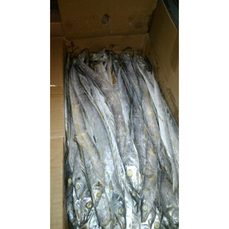 

Ikan Asin Layur Ukuran 2 jari 1kg