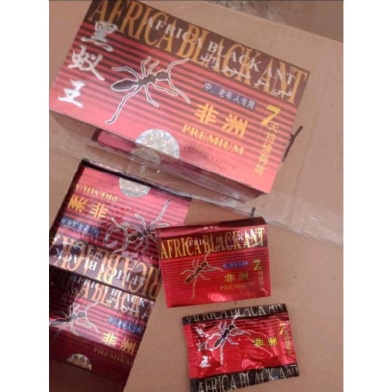 Afrika Black Ant Original