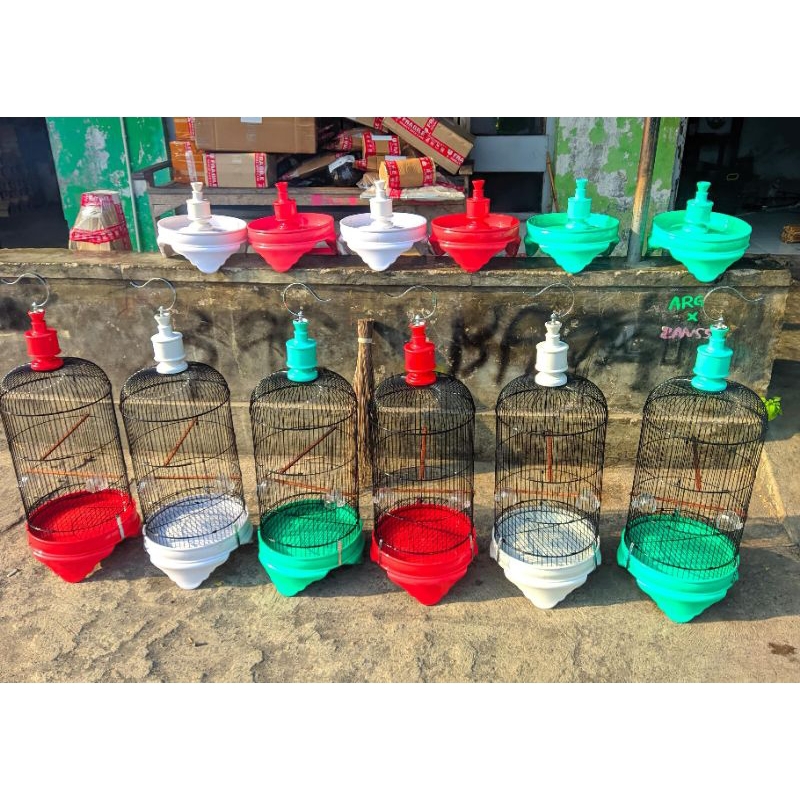 Sangkar Konin Ciblek Kapsul Tanggung D29 cm Sangkar Besi PVC Super Tebal Sangkar Burung