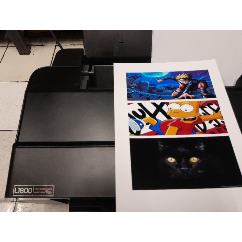Printer A3+ epsom L1800 warna