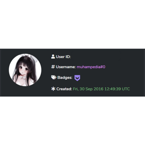 Akun Discord 2016