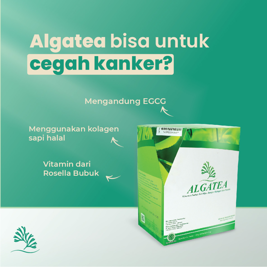 

Alga Tea Teh Hijau Antioksidan Tinggi