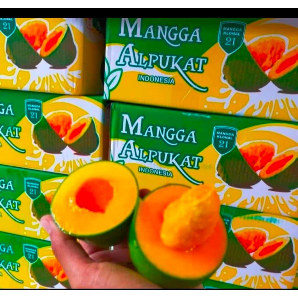 

Mangga alpukat