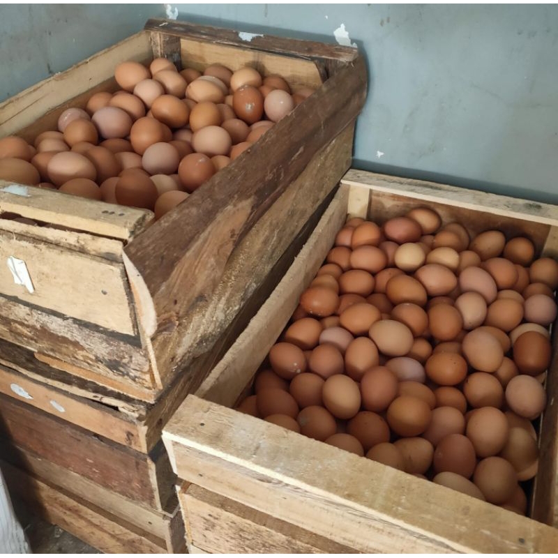 

Telor telur ayam curah per kg