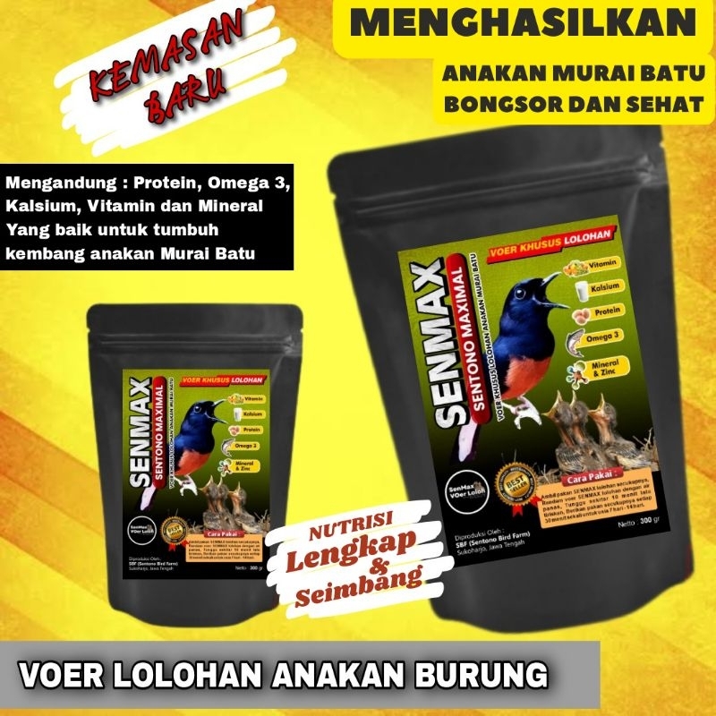 voer lolohan murai batu | voer pakan lolohan anakan burung | SenMax Voer Lolohan anakan murai kaya p
