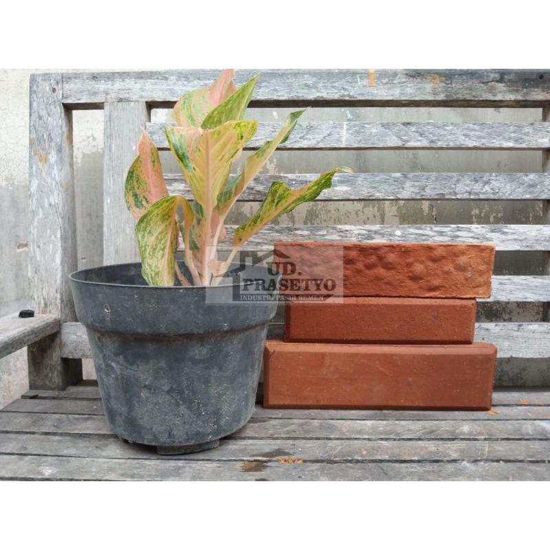 bata tempel / bata expose / bata tempel jogja