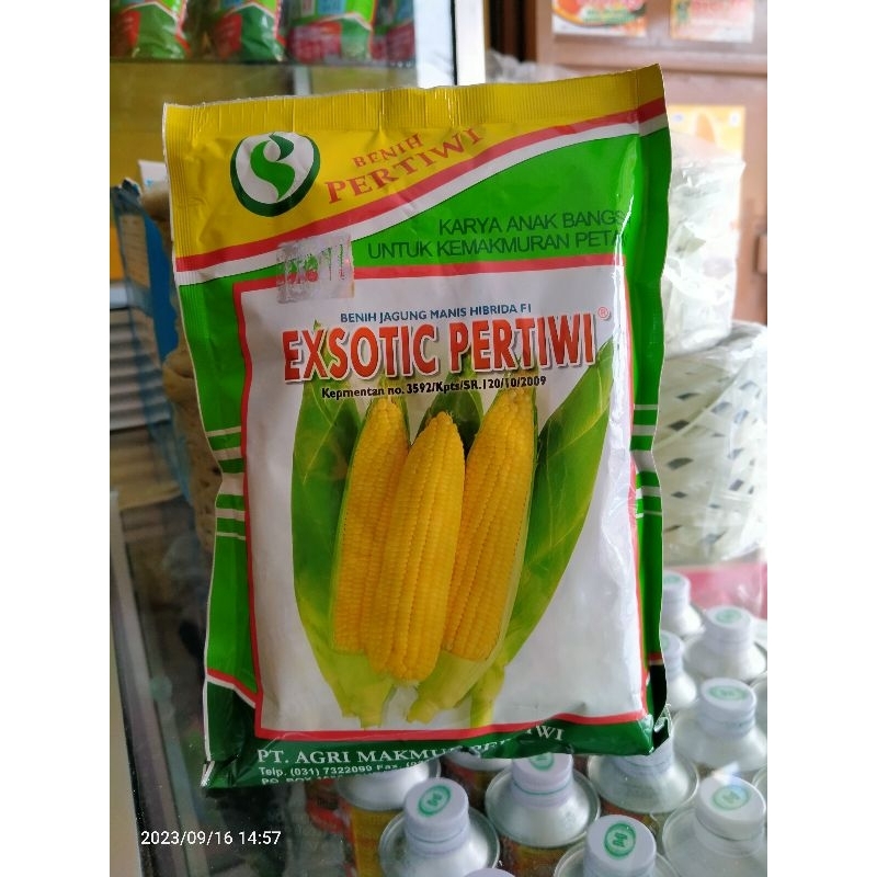Benih Jagung Manis Exsotic