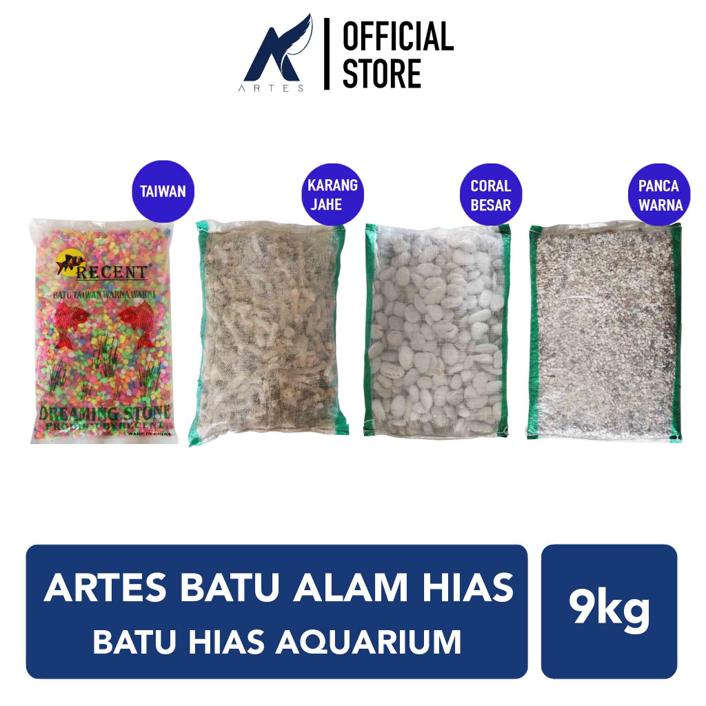 ARTES BATU HIAS ALAM Coral Pancawarna Karang Jahe Taiwan Hiasan Dekor Warna Warni Taman Pot Vas Tana