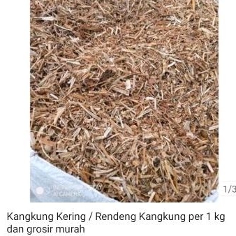 Kangkung Kering/Rendeng Kangkung|Pakan Ternak Terbaik dan Mempercepat Tumbuh