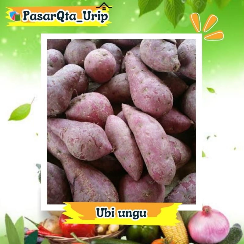 

Ubi jalar Ungu per kilo / Pasar online makassar