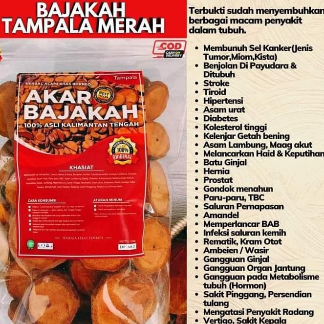 

1Kg Akar Bajakah Tampala SUPER (BADARA) Kalimantan Siap Seduh Obat Jantung & Stroke (100% ORIGINAL)