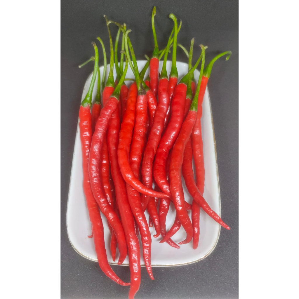 

Cabe Merah Keriting 100gr